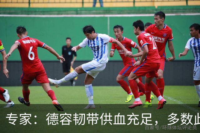 专家：德容韧带供血充足，多数此类损伤无需手术